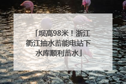 坝高98米！浙江衢江抽水蓄能电站下水库顺利蓄水