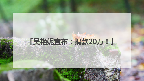 吴艳妮宣布：捐款20万！