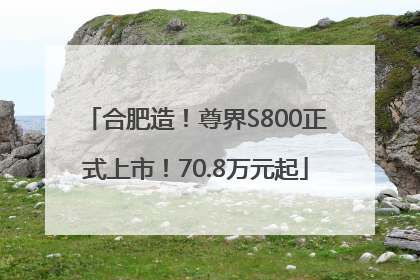 合肥造！尊界S800正式上市！70.8万元起