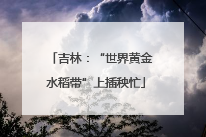 吉林：“世界黄金水稻带”上插秧忙