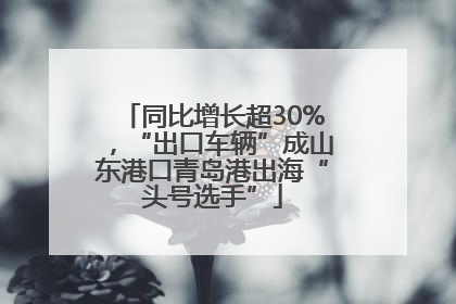 同比增长超30%，“出口车辆”成山东港口青岛港出海“头号选手”