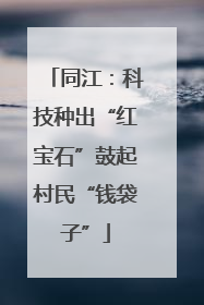同江：科技种出“红宝石”鼓起村民“钱袋子”
