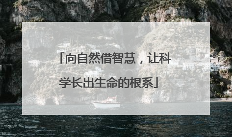 向自然借智慧，让科学长出生命的根系