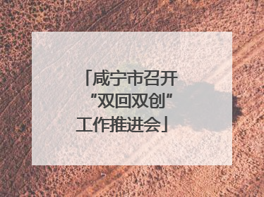 咸宁市召开“双回双创”工作推进会