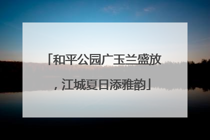 和平公园广玉兰盛放，江城夏日添雅韵