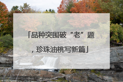 品种突围破“老”题，珍珠油桃写新篇