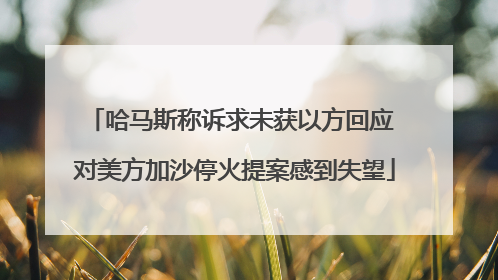 哈马斯称诉求未获以方回应 对美方加沙停火提案感到失望