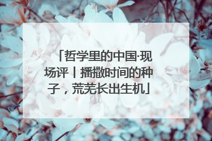 哲学里的中国·现场评丨播撒时间的种子，荒芜长出生机