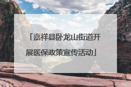 嘉祥县卧龙山街道开展医保政策宣传活动