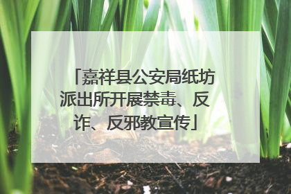 嘉祥县公安局纸坊派出所开展禁毒、反诈、反邪教宣传