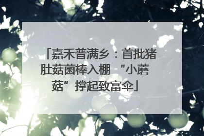 嘉禾普满乡：首批猪肚菇菌棒入棚 “小蘑菇”撑起致富伞