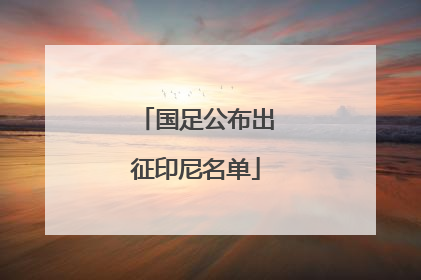 国足公布出征印尼名单