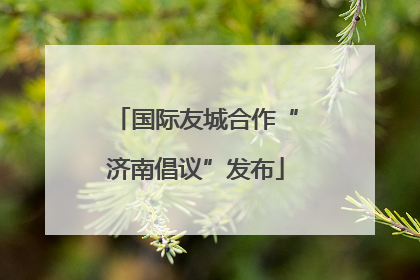 国际友城合作“济南倡议”发布