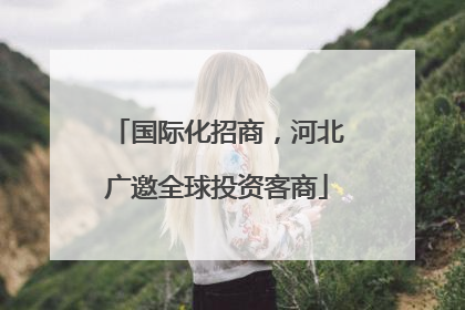 国际化招商，河北广邀全球投资客商
