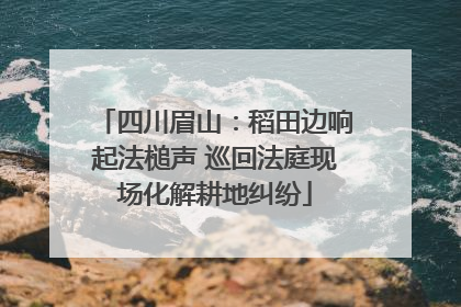 四川眉山：稻田边响起法槌声 巡回法庭现场化解耕地纠纷