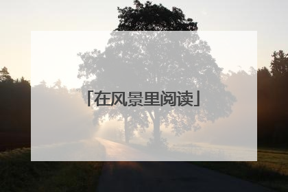 在风景里阅读
