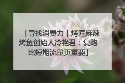 寻找消费力｜烤匠麻辣烤鱼创始人冷艳君：复购比短期流量更重要