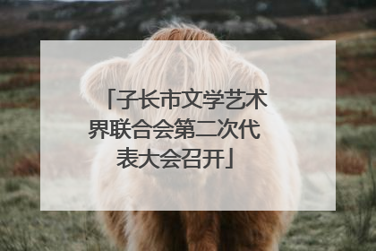 子长市文学艺术界联合会第二次代表大会召开