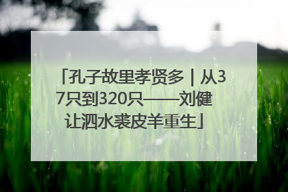 孔子故里孝贤多｜从37只到320只——刘健让泗水裘皮羊重生