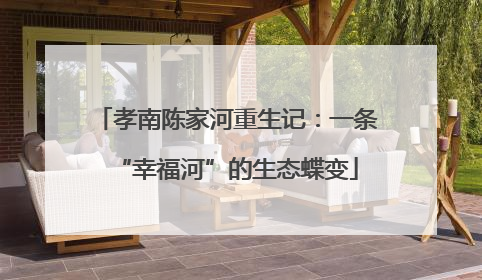 孝南陈家河重生记：一条“幸福河”的生态蝶变
