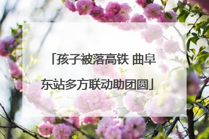 孩子被落高铁 曲阜东站多方联动助团圆