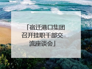 宿迁港口集团召开挂职干部交流座谈会
