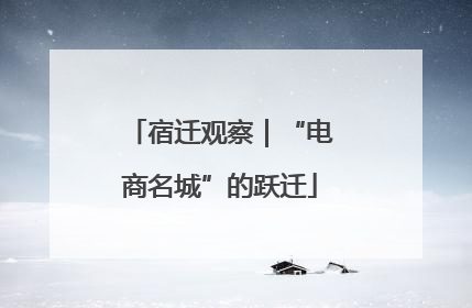 宿迁观察｜“电商名城”的跃迁