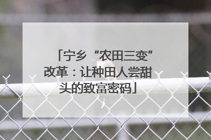 宁乡“农田三变”改革：让种田人尝甜头的致富密码