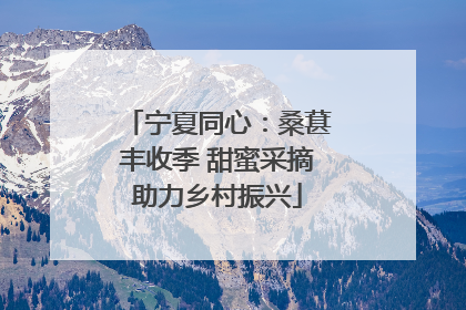 宁夏同心：桑葚丰收季 甜蜜采摘助力乡村振兴