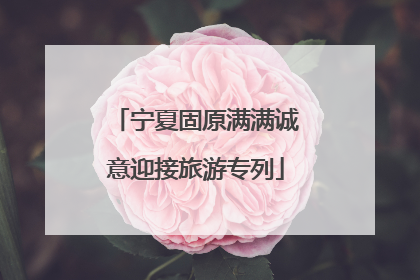 宁夏固原满满诚意迎接旅游专列