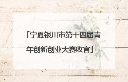 宁夏银川市第十四届青年创新创业大赛收官