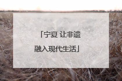 宁夏 让非遗融入现代生活