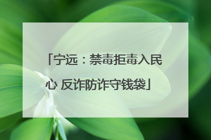 宁远：禁毒拒毒入民心 反诈防诈守钱袋