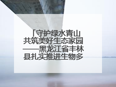 守护绿水青山 共筑美好生态家园——黑龙江省丰林县扎实推进生物多样性保护工作