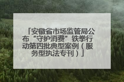 安徽省市场监管局公布“守护消费”铁拳行动第四批典型案例（服务型执法专刊）