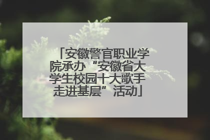 安徽警官职业学院承办“安徽省大学生校园十大歌手走进基层”活动