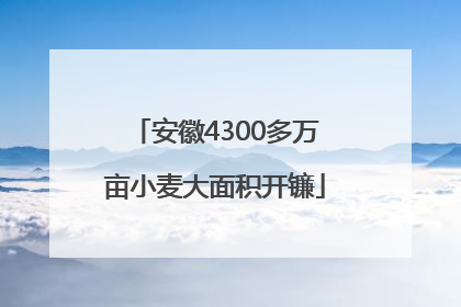 安徽4300多万亩小麦大面积开镰