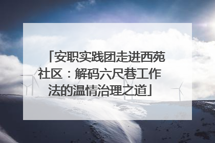 安职实践团走进西苑社区：解码六尺巷工作法的温情治理之道