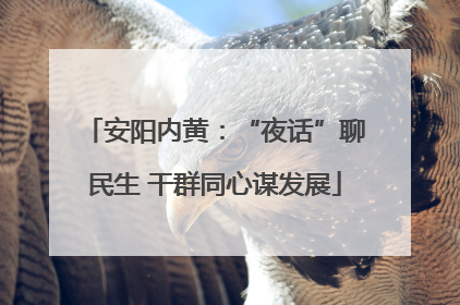 安阳内黄：“夜话”聊民生 干群同心谋发展