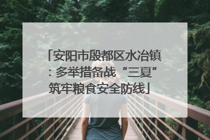 安阳市殷都区水冶镇：多举措备战“三夏” 筑牢粮食安全防线