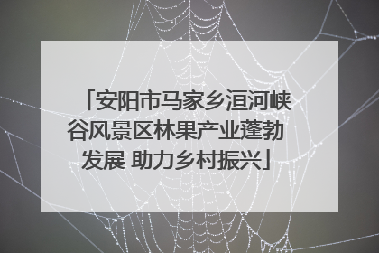 安阳市马家乡洹河峡谷风景区林果产业蓬勃发展 助力乡村振兴