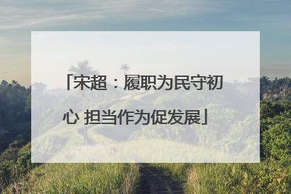 宋超：履职为民守初心 担当作为促发展