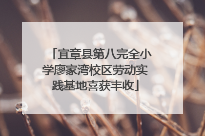 宜章县第八完全小学廖家湾校区劳动实践基地喜获丰收