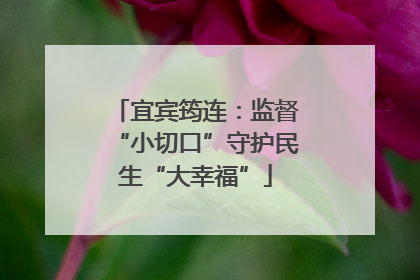 宜宾筠连：监督“小切口”守护民生“大幸福”