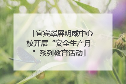 宜宾翠屏明威中心校开展“安全生产月”系列教育活动