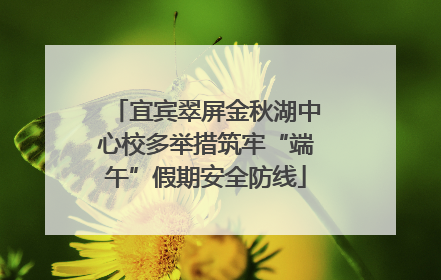 宜宾翠屏金秋湖中心校多举措筑牢“端午”假期安全防线