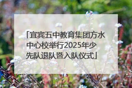 宜宾五中教育集团方水中心校举行2025年少先队退队暨入队仪式