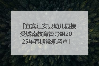 宜宾江安县幼儿园接受城南教育督导组2025年春期常规督查