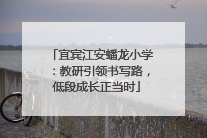 宜宾江安蟠龙小学：教研引领书写路，低段成长正当时