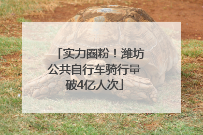 实力圈粉！潍坊公共自行车骑行量破4亿人次